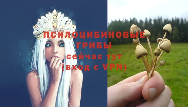 соль ск Володарск