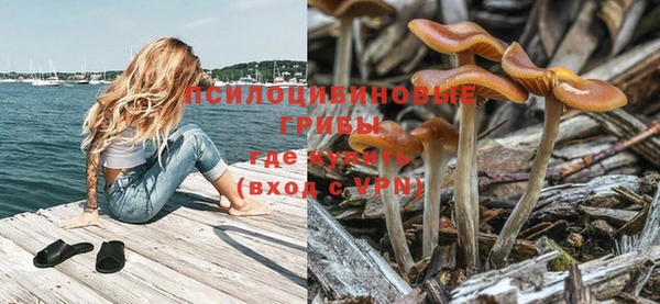 крисы Волоколамск