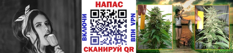 Бошки марихуана сатива  Купить где  Чехов 